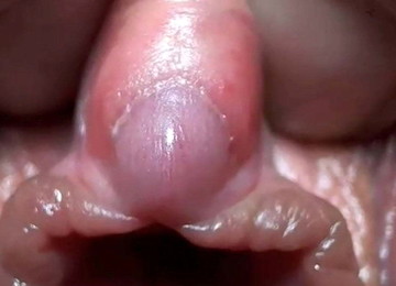 Clitoris Is Very Close-up