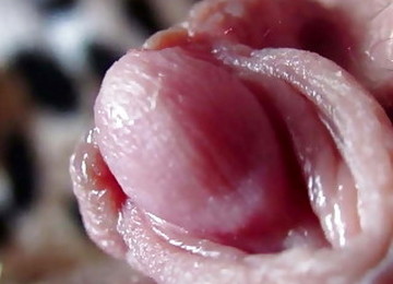 Veliki klitoris,Lizanje klitorisa,Masturbacija